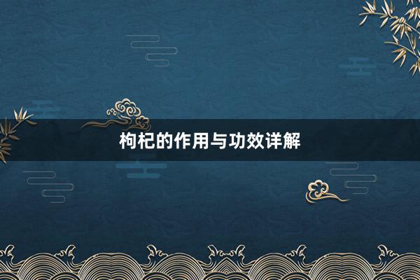 枸杞的作用与功效详解