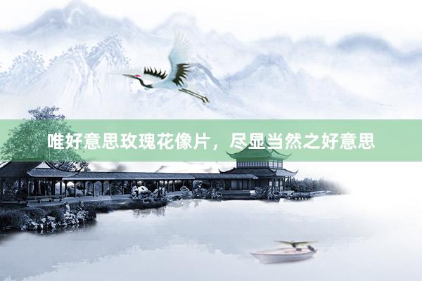 唯好意思玫瑰花像片，尽显当然之好意思