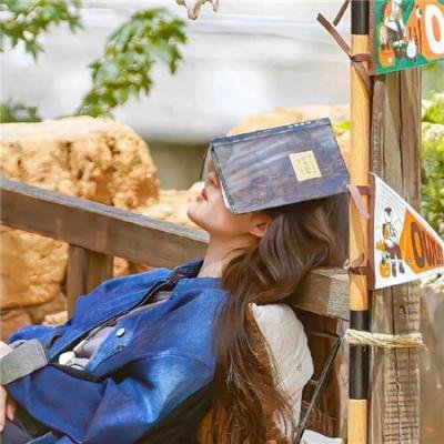 黎总的替嫁娇妻路太野